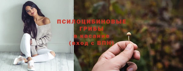 винт Алзамай