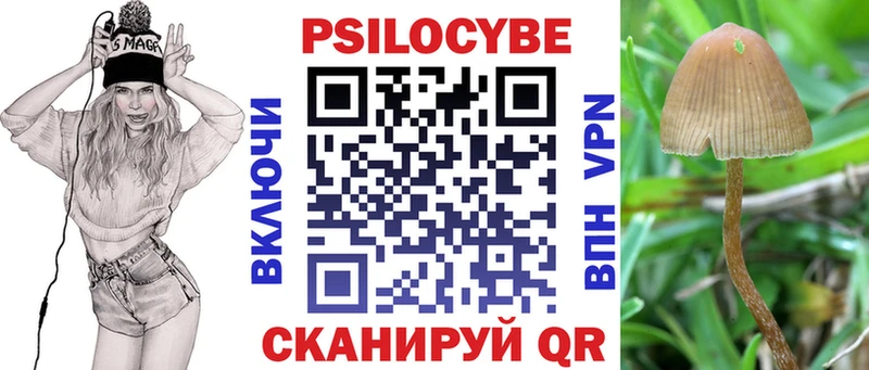 Галлюциногенные грибы MAGIC MUSHROOMS  Шумиха 